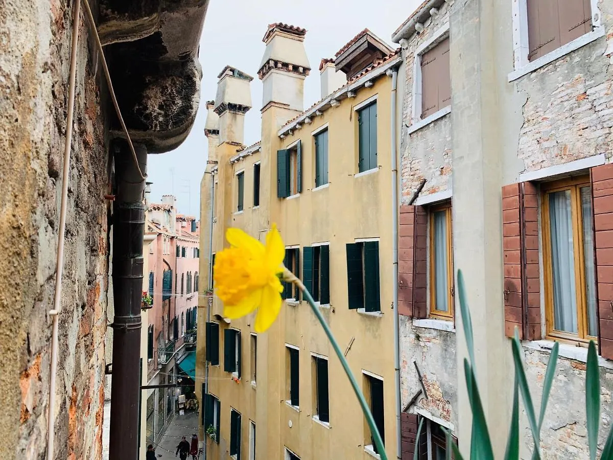 Rooftop Terrace Domus Dei Fabbri Venice Apartment