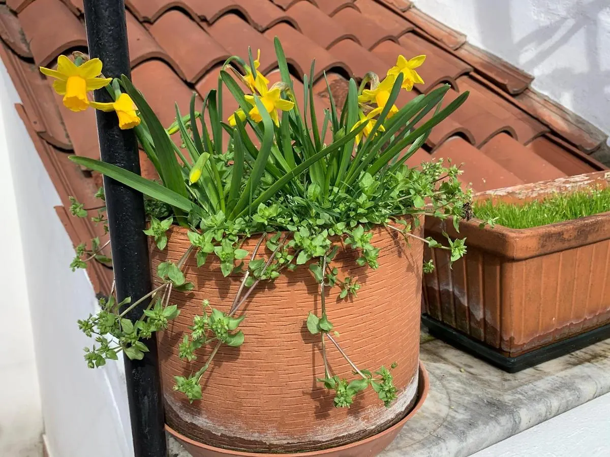 Rooftop Terrace Domus Dei Fabbri Venice Italy