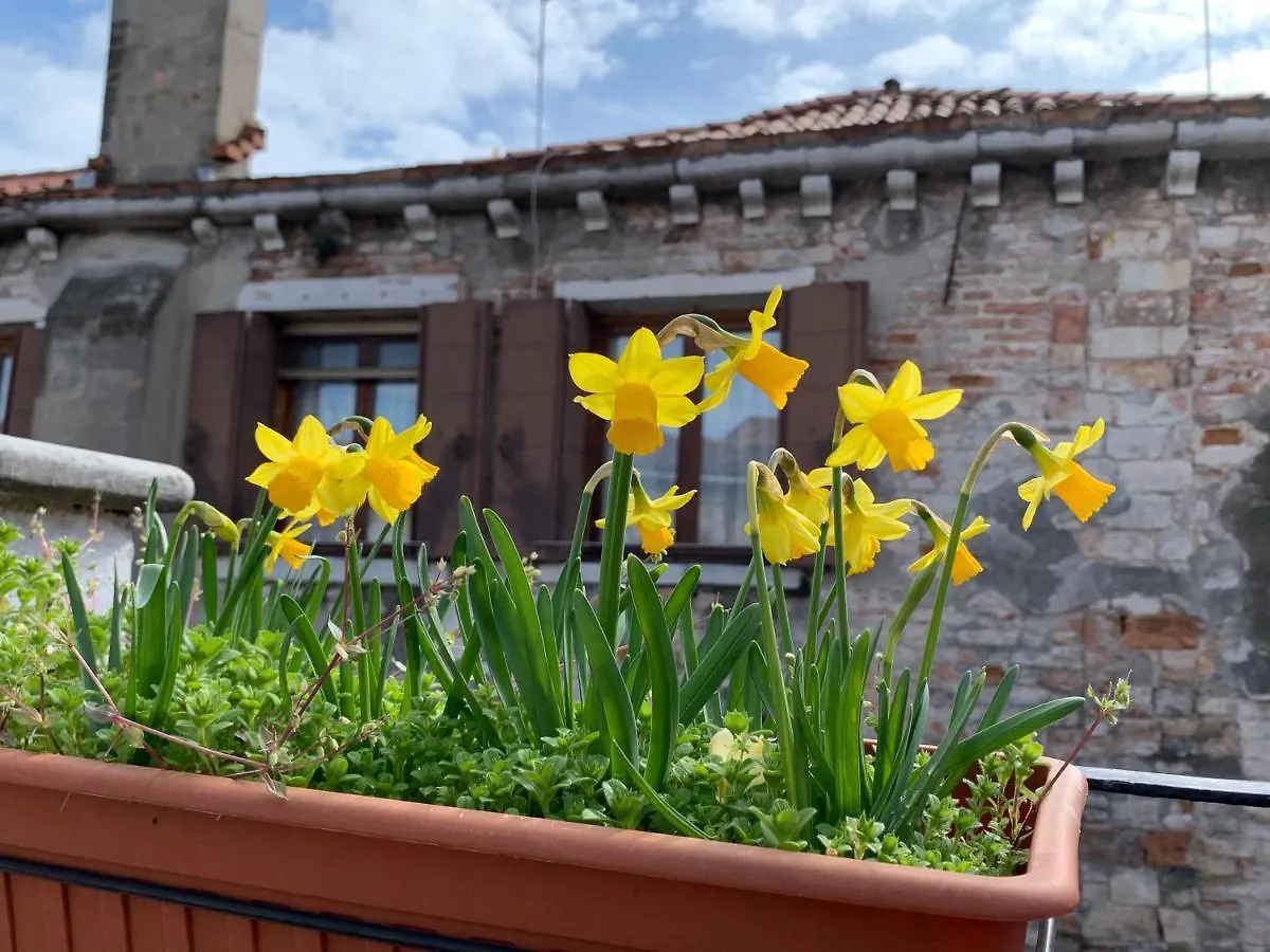 Rooftop Terrace Domus Dei Fabbri Venice 0*,  Italy