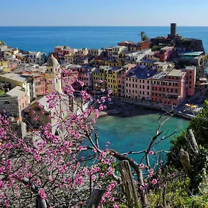 Cegi's , Vernazza Italy